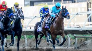 2025 Kentucky Derby, Triple Crown, NTRA 3-year-old poll, Citizen Bull